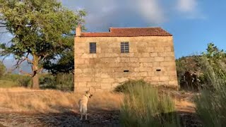 #24 | ‘Living’ near Oliveira Do Hospital.  Petsitting, a great way to find where to live in Portugal