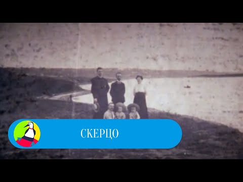 Скерцо. Мультфильм в HD. STARMEDIAKIDS.