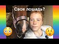 Мне купили лошадь?Неделя влогов:день 1♥️