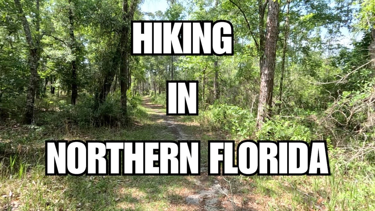 Hiking in Northern Florida