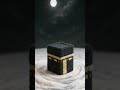 Kadir Ansari king
