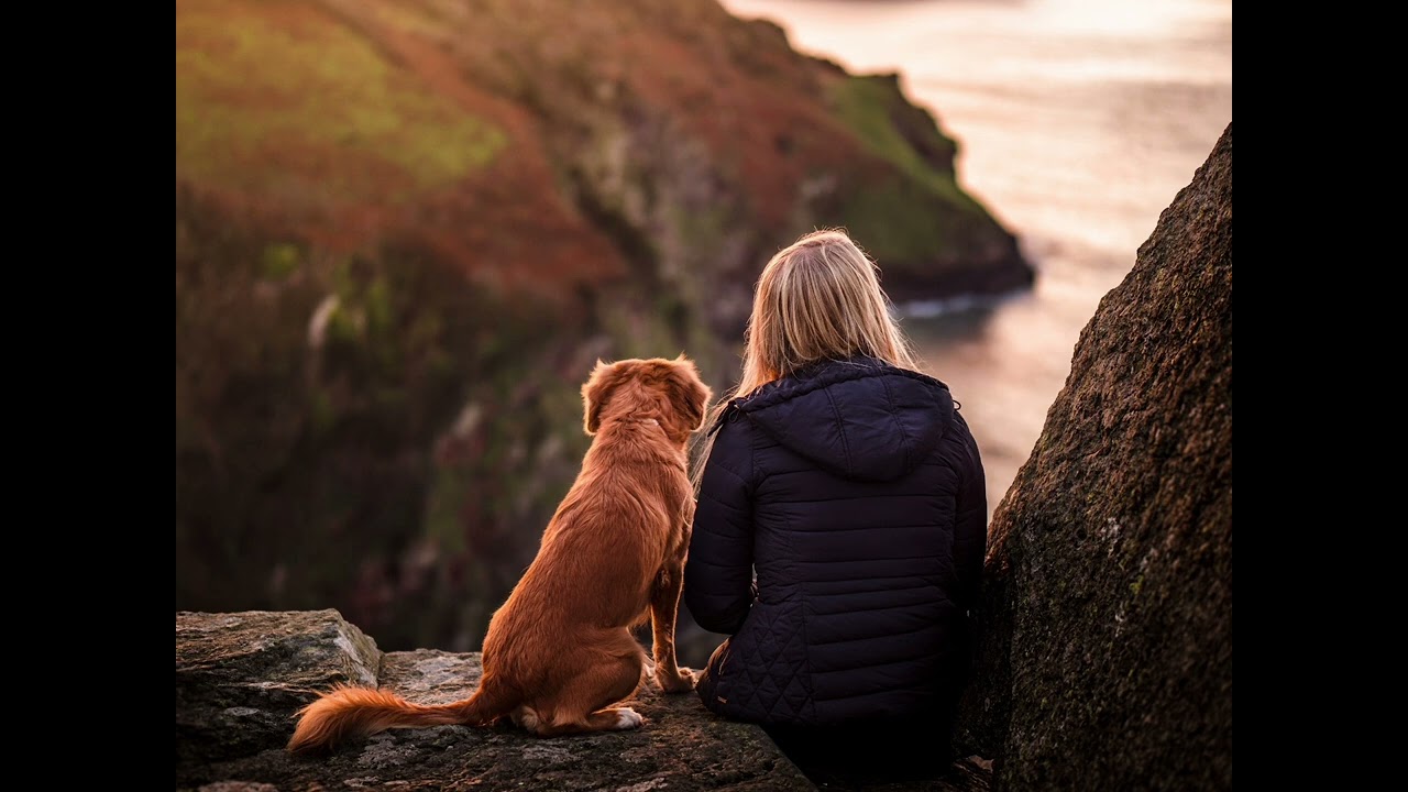 Lady Gaga, Bruno Mars - Die With A Smile (Acapella) slowed and reverb