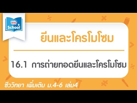 16.1 การถ่ายทอดยีนและโครโมโซม