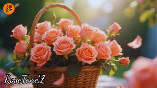 картинка: Сборник Сергея Грищука🌸Я слушала, как цветы шепчут🌺И чувствовала умиротворение💫
