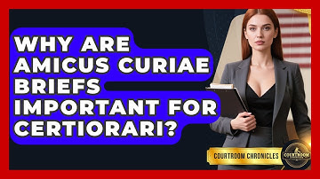 Why Are Amicus Curiae Briefs Important For Certiorari? - Courtroom Chronicles