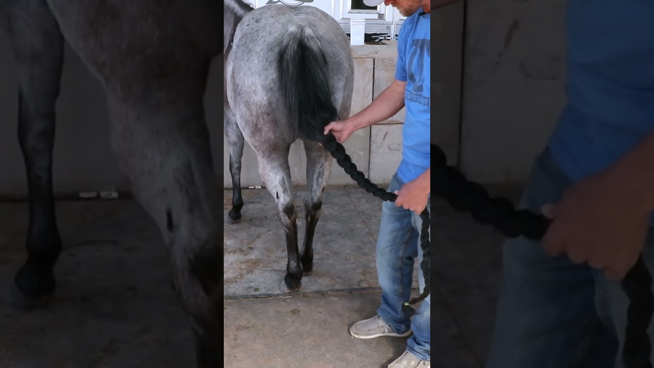 How long should you leave a tailbag on?? 