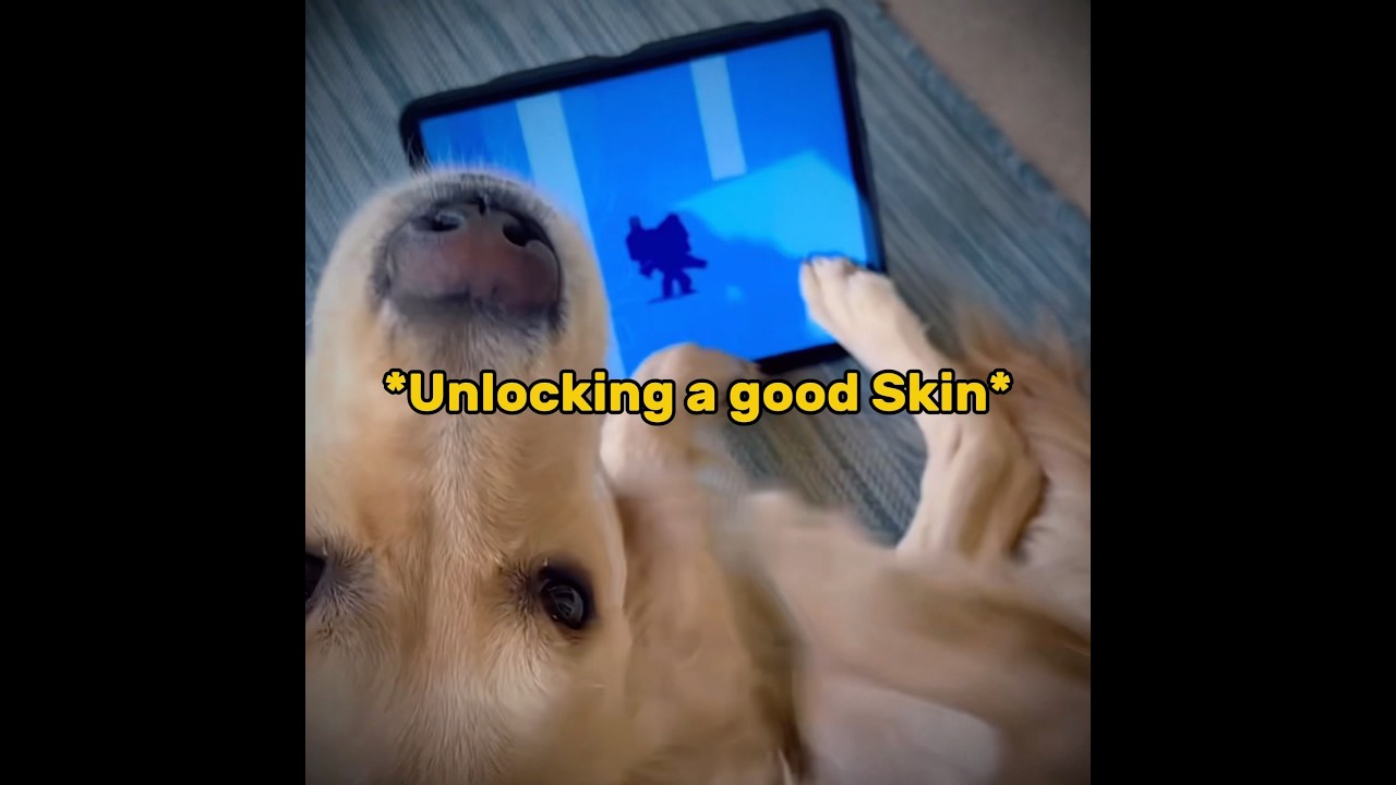 Dog VS Cat Opening on BrawlStars 🤯🔥 