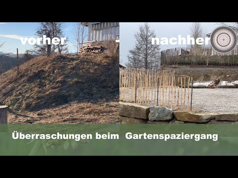 Video: Zone 5 Essbare Stauden – Informationen über winterharte essbare Stauden – Know-how für die Gartenarbeit