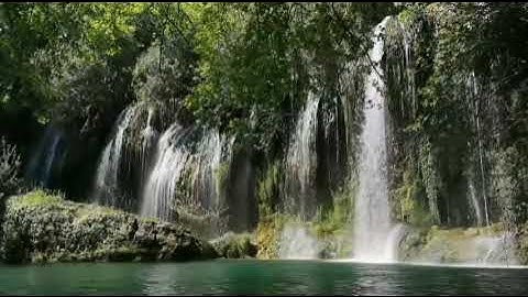 سورة النصر بصوت الشيخ احمد العجمي مكرره 3 مرات