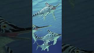 #paleontology #fossil #biology