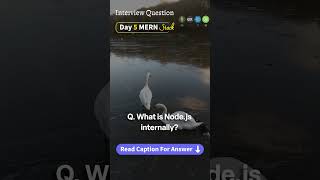 MERN Stack Interview Question &amp; Answer Day - 5 #shorts