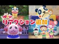 あつ森アプデ 新しいカメラ機能と新リアクションがすごすぎる あつ森アプデ 新しいカメラ機能と新リアクションがすごすぎる