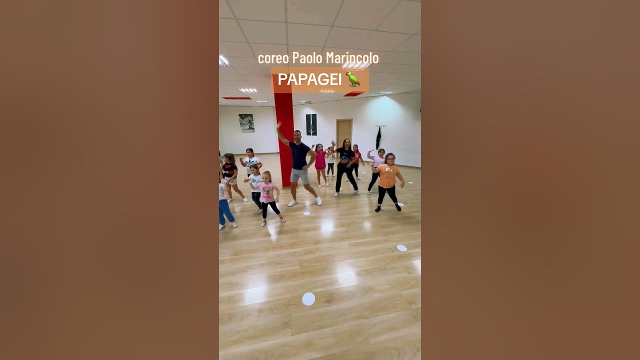 Papagei #papagei #dieschlagerboys #dance #ballerino #2024 #ballidigruppo #perte