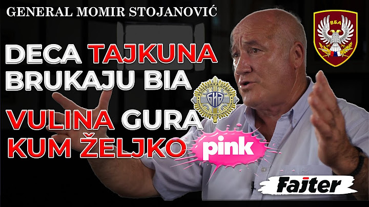 GENERAL MOMIR STOJANOVIĆ: DECA TAJKUNA BRUKAJU BIA, VULINA GURA KUM ŽELJKO MITROVIĆ