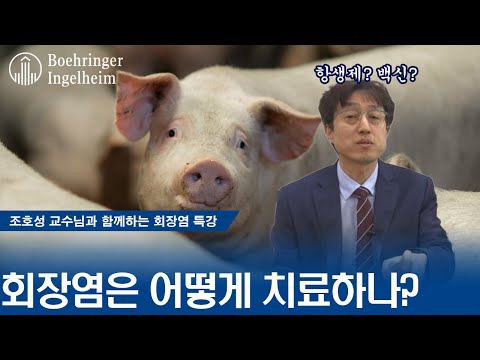 6. 회장염 감수성 검사와 유효 항생제 선택