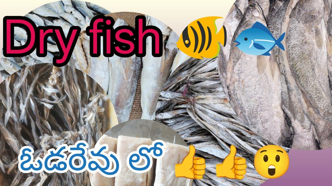 Dry fish market in chirala  / wholesale price of dry fish in vodarevu/చేపల మార్కెట్ ఇన్ ఇండియా