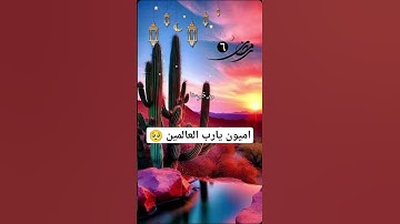 قران الكريم اللهم #آمين #يارب حالات واتساب قران يريح القلب🤲 #الله #يارب