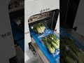 Durable Automatic Vegetable Packing Machine for 24/7 High-Intensity Operation