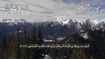 تلاوة عَطِرَة    سورة  السَّجدَة  إصدار جديد    طارق محمد Surah  Al Sajdah     Tareq Mohammad