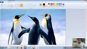 Picture size reduce using ms paint urdu /hindi
