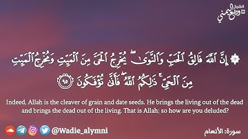 { إن الله فالق الحب والنوى } || تلاوة هادئة تريح القلب من سورة الأنعام - الشيخ وديع اليمني