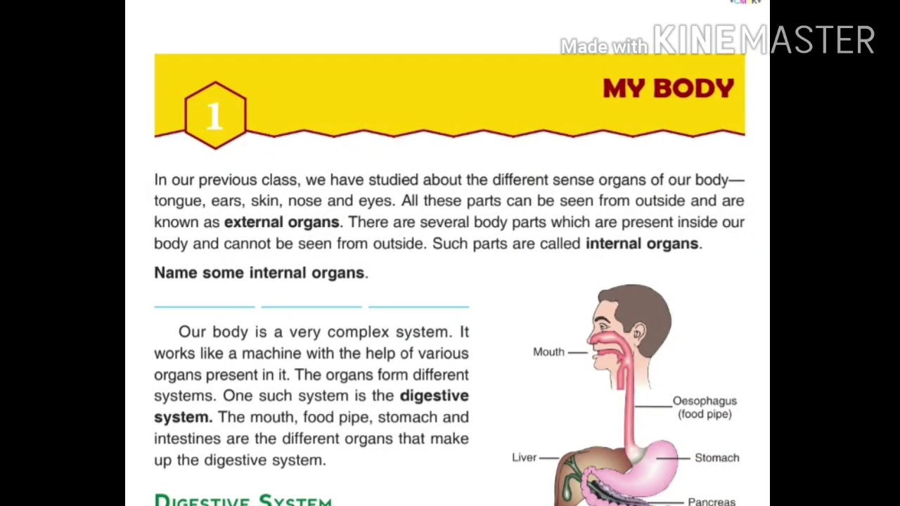 My body part-1 - YouTube