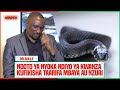DR SULLE NDOTO YA NYOKA NDIYO NAMBA MOJA KWA KUFIKISHA TAARIFA MBAYA AU NZURI 