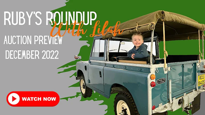 Auction Preview - Ruby's Round up - December Auction - Rare fords & sports cars