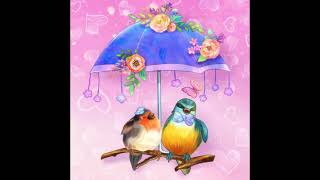 Love Birds Under The Umbrella - Animation