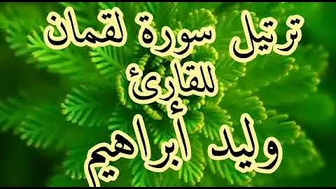 ترتيل سورة لقمان للقارئ وليد ابراهيم
