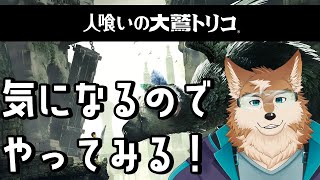 【人喰いの大鷲トリコ】ショタとケモノのゲームと聞いてやってきました＃2