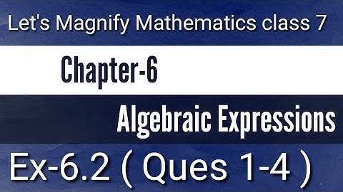 Chapter-6 || Algebraic Expressions || Ex-6.2 || Ques 1 to 4 || Let