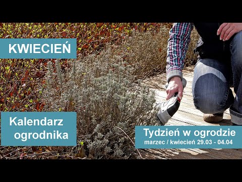 Wideo: Październikowy Kalendarz Ogrodniczy