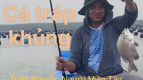 Câu cá tráp ,cá  ngát khủng ... một ngày bội thu ở cưa biển cần giờ...