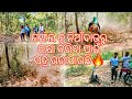 ଜଙ୍ଗଲ ରେ ପତ୍ର ଉଡା ଆରମ୍ଭ 🔥 // jungleduty //forest fire //forest watcher duty//fire watcher duty vlog
