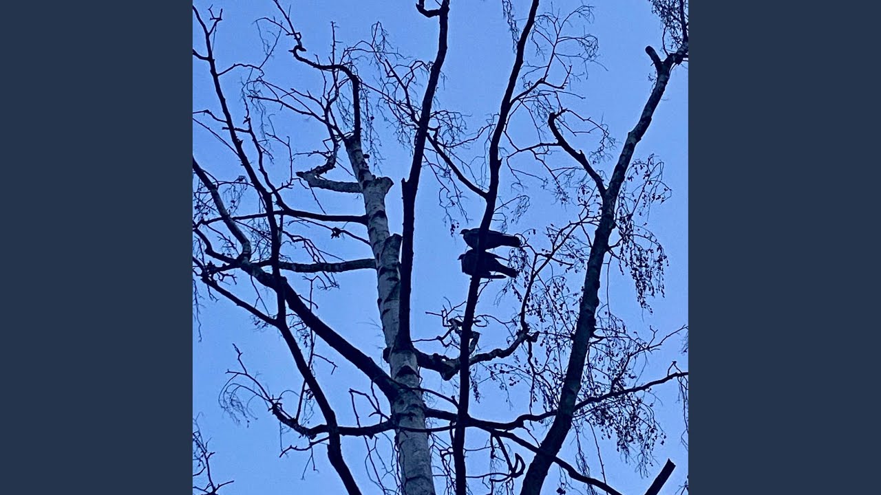 Watch deja vu on YouTube Watch deja vu on YouTube