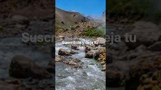 buta ranquil Neuquén #argentina #viajes #elmundo #turismo #travel #neuquén #patagonia #ruta40