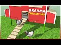 Brahma Chicken Shed / Coop | Giant Chicken | Biggest Chicken In the World | Brahma Chicken Breed