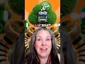 Mastering Short-Form Video for Small Business Success #shorts