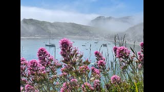 Life is not always about writing