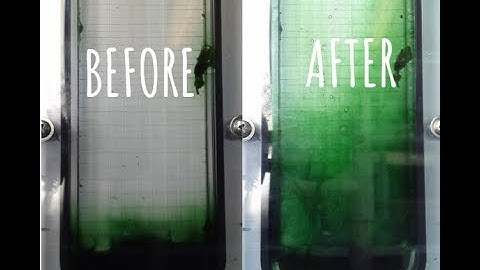 Algal Growth: Photobioreactors