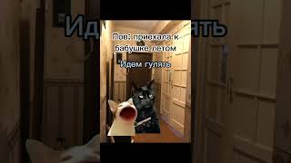 пов: приехала к бабушке 🤍 #коты #котята #мемы #пов #футажи