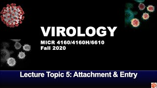 005 Lecture Topic 5 Attachment and Entry
