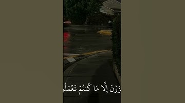 اكتب شيء تؤجر عليه || القارئ عبدالرحمن مسعد - سورة النمل