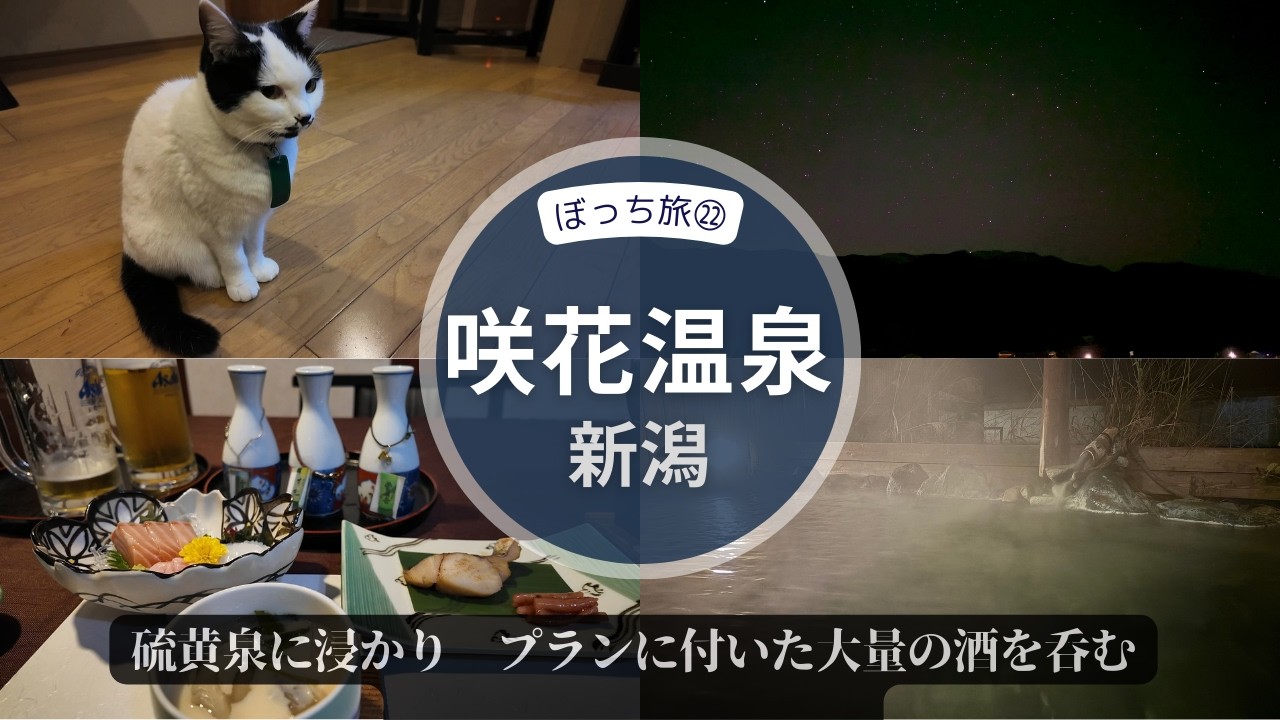 ぼっち旅㉒新潟・咲花温泉 ～阿賀野川河畔の宿・碧水荘に投宿し、硫黄泉に浸かり、地酒をたらふく呑み、猫と戯れた癒しの旅～