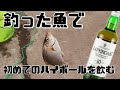 釣った魚でハイボールデビュー!ハイボール嫌いは克服か?安い釣竿で自給自足だ。釣りもウイスキーも初心者 #釣り #ハイボール #初飲み #ウイスキー