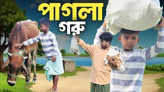 পাগলা গরু||Pagla Goru||Ariful&Rashidul||Chasa-Bhatiza||New Bangla Comedy Natok2025