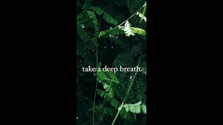take a deep breath.