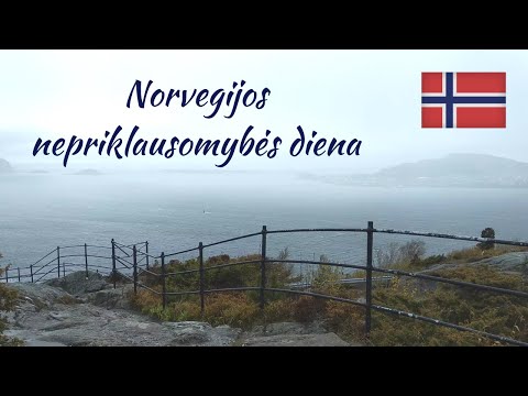 Video: Arbatpinigiai Norvegijoje: kada, kas ir kiek