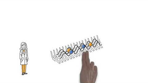 What are ion mobility MS and collision cross section data?